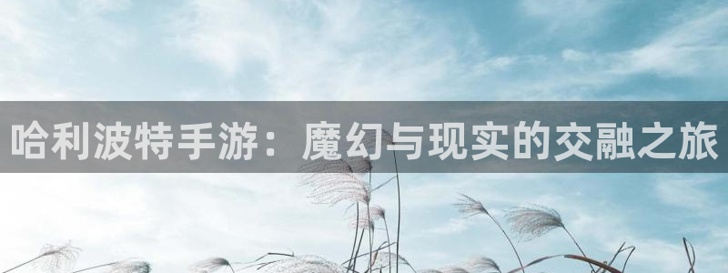 巅峰国际首页：哈利波特手游：魔幻与现实的交融之旅