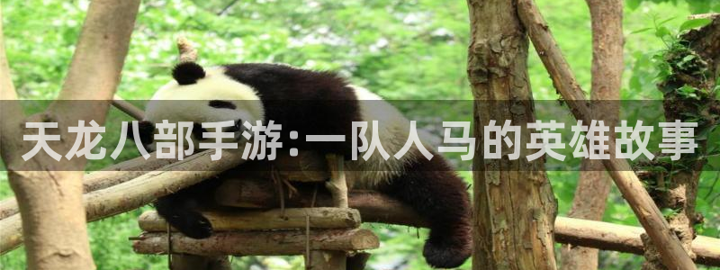 巅峰国际下载：天龙八部手游:一队人马的英雄故事