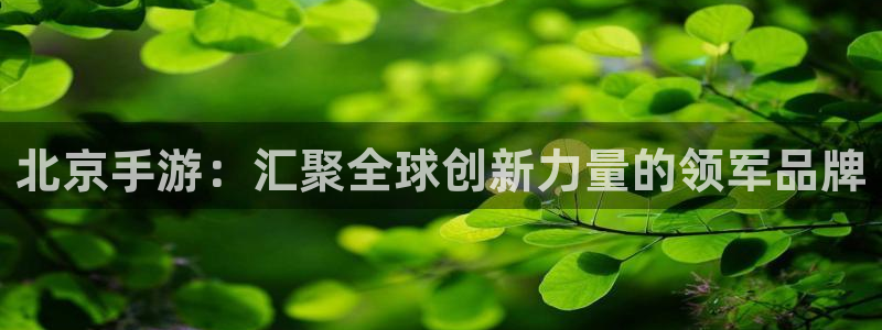 巅峰国际下载：北京手游：汇聚全球创新力量的领军品牌
