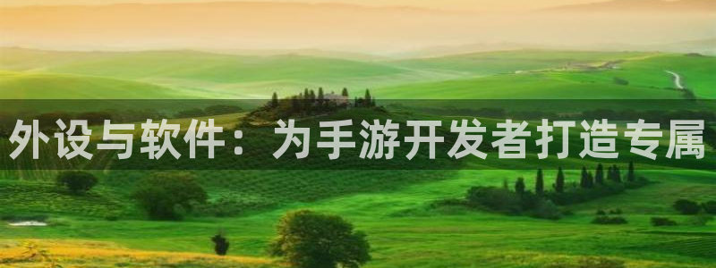 巅峰国际下载：外设与软件：为手游开发者打造专属