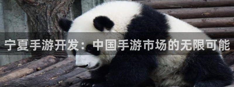 巅峰国际登录：宁夏手游开发：中国手游市场的无限可能