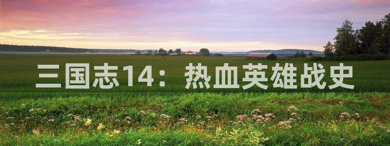 巅峰国际首页：三国志14：热血英雄战史