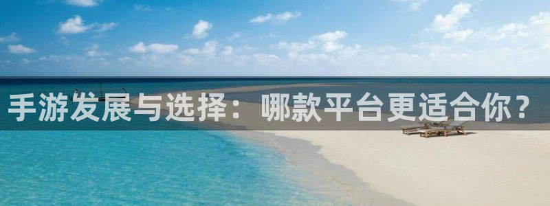 巅峰国际平台：手游发展与选择：哪款平台更适合你？