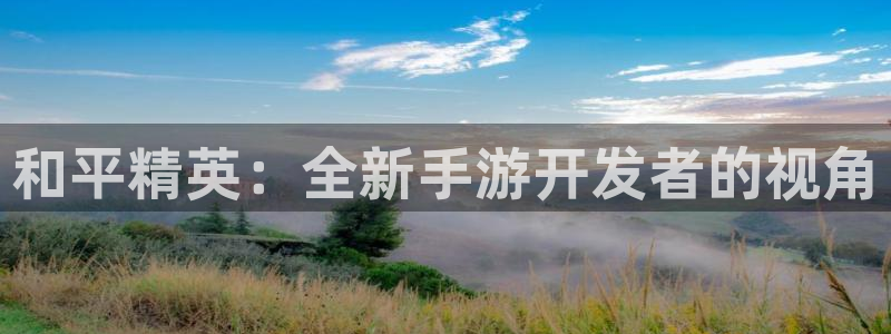 巅峰国际：和平精英：全新手游开发者的视角