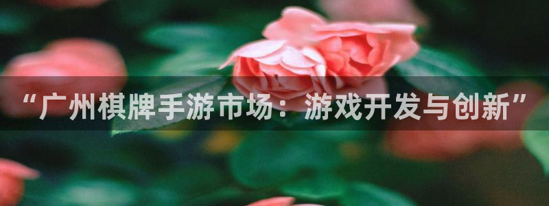 巅峰国际app：“广州棋牌手游市场：游戏开发与创新”