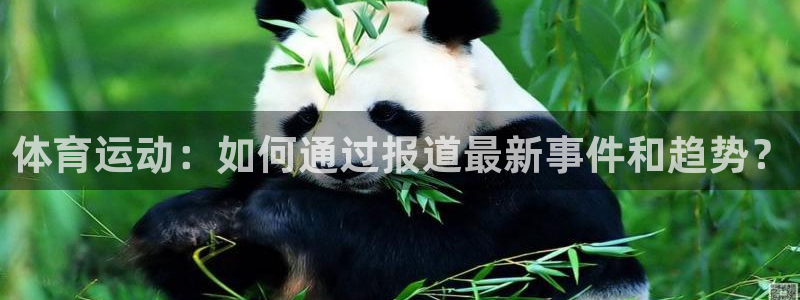 风速体育app：体育运动：如何通过报道最新事件和趋势？