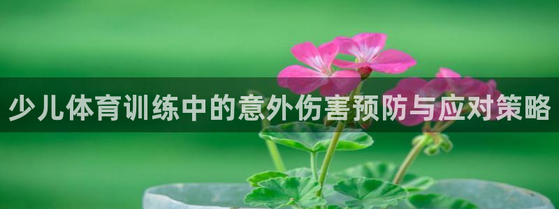 风速体育官网：少儿体育训练中的意外伤害预防与应对策略