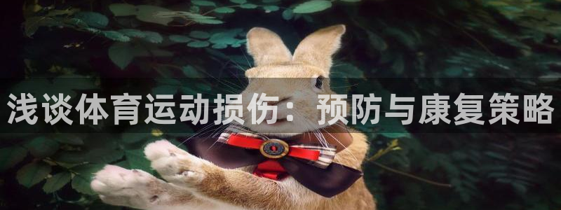 风速体育nba直播