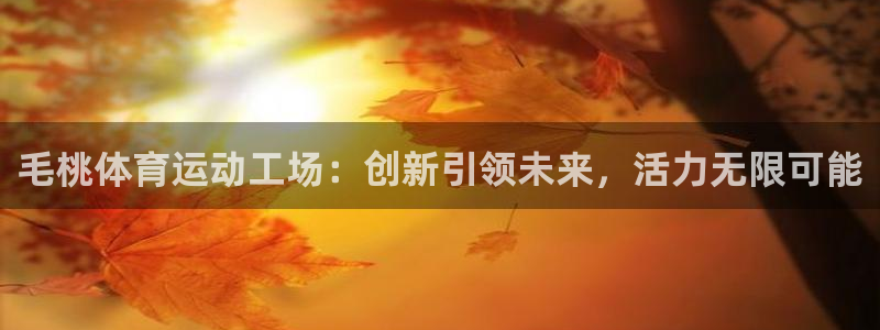 风速体育app下载安装最新版本