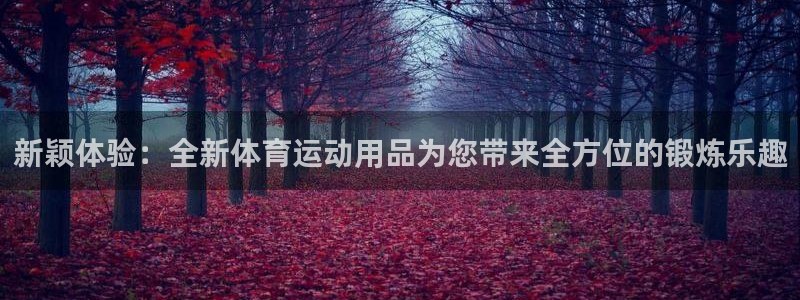 下载风速体育