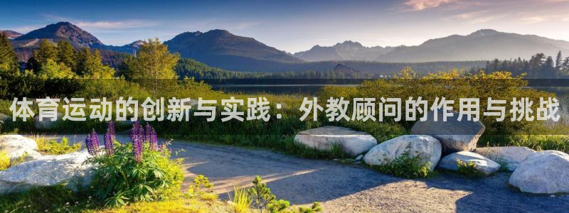 风速体育下载