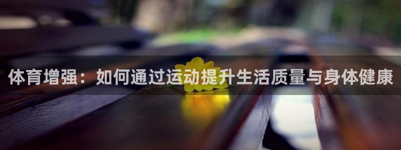 风速体育app下载安装最新版本