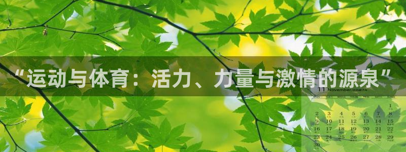 风速体育