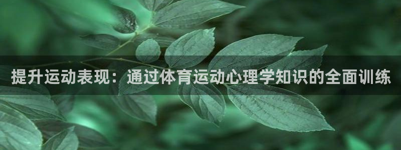 下载风速体育