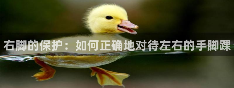 风速体育直播