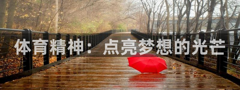 风速体育cba直播