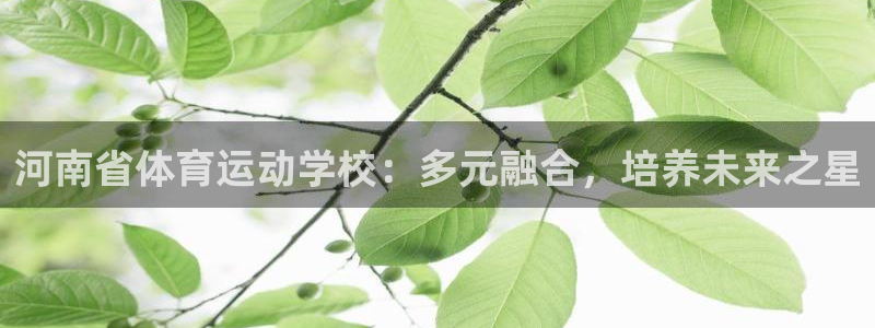 风速体育官网：河南省体育运动学校：多元融合，培养未来之星