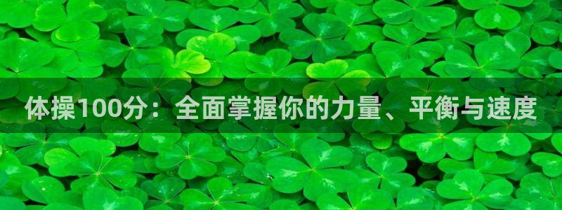 风速体育app下载官网最新版